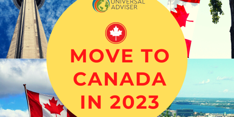 Charting the Course A Definitive Guide to Canada Visa Processes for Citizens of the Czech Republic and Denmark