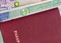 Samba to the Taj: A Comprehensive Guide to Indian Visas for Brazilian and Swedish Citizens