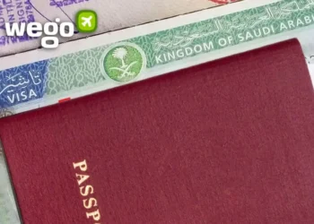 Samba to the Taj: A Comprehensive Guide to Indian Visas for Brazilian and Swedish Citizens