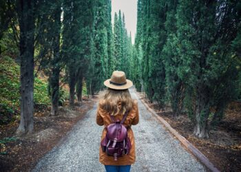 The Ultimate Canada Visa Guide for British and Swedish