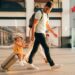 Visa Insights for Norwegian and New Zealand Citizens