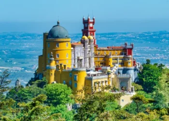 A Comprehensive Guide to Indian Visa for Netherlands