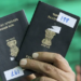 Navigating the Indian Visa Process A Guide for Zambian Citizens