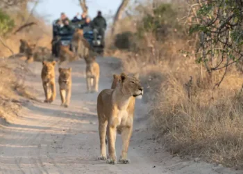 Addressing Overstaying and Indian Visa