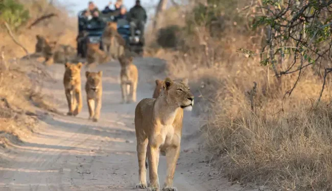 Addressing Overstaying and Indian Visa