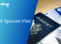 New Zealand A Comprehensive Guide to Visa Requirements for Cypriot Citizens