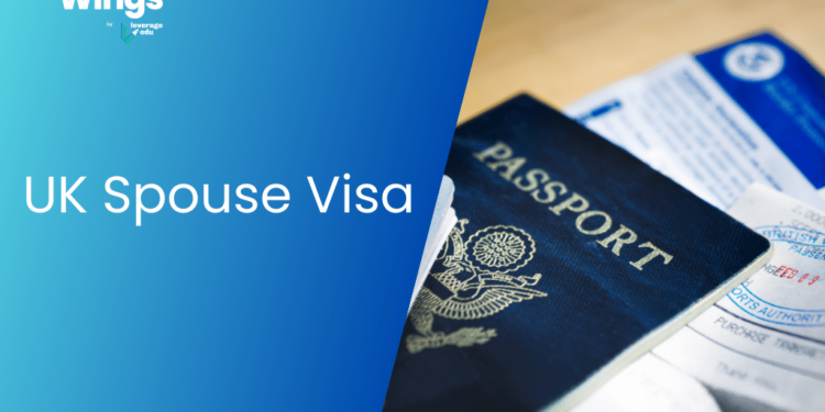 New Zealand A Comprehensive Guide to Visa Requirements for Cypriot Citizens