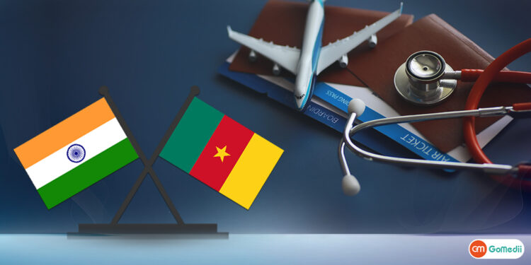 Navigating the Visa Journey A Guide to Securing an Indian Visa from Cameroon