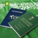 Saudi Visa