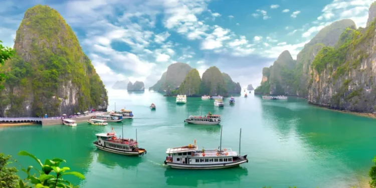 What You Need to Know About Vietnam Visa Requirements?