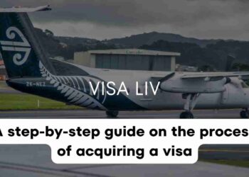 Navigating the New Zealand Visa Journey A Comprehensive Guide for British Citizens and Key Visa Requirements