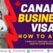 Business Visa