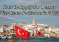 Simplified Travel  Navigating the Process of Obtaining a Turkey Visa Online