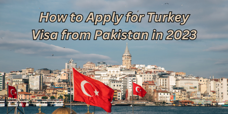 Simplified Travel  Navigating the Process of Obtaining a Turkey Visa Online