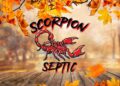 Experience Premier Septic Installation with Scorpion Septic in Dallas, GA