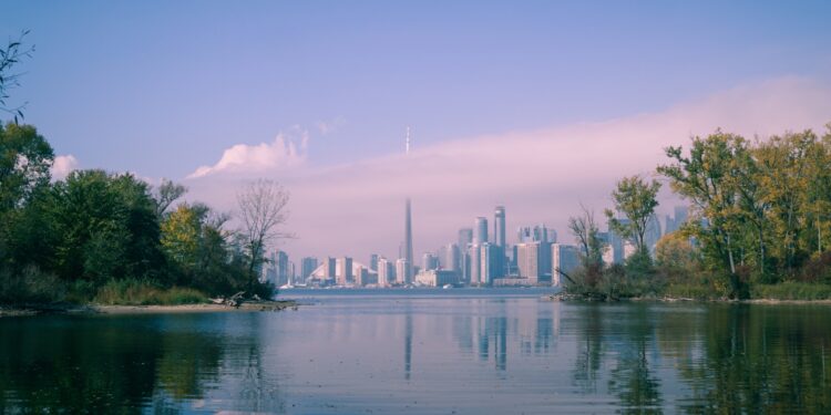 Canada Business Visas – How to Apply and What to Expect