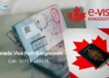 Navigating the Canadian Tourist Visa Application Process
