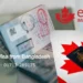 Navigating the Canadian Tourist Visa Application Process
