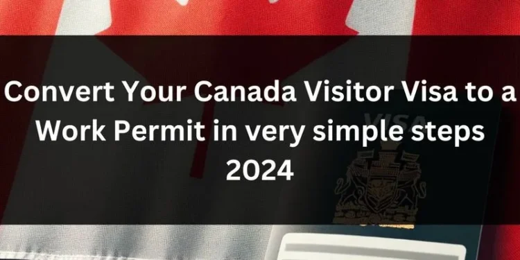Securing Your Canada Visa from Finland A Detailed Guide