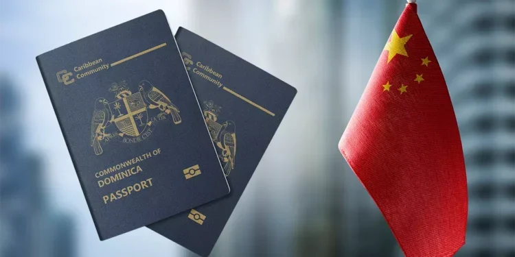 Navigating the Turkey Visa Process from Dominica  A Complete Guide