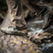 Men’s Hiking Shoes – The Perfect Combination of Comfort and Style
