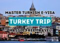 Easing Your Journey  A Deep Dive into Turkey Visa Online Requirements