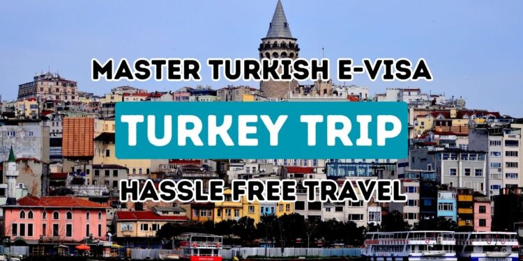 Easing Your Journey  A Deep Dive into Turkey Visa Online Requirements