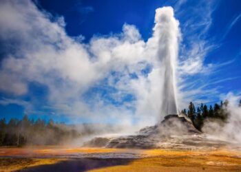 How Can Cypriot Citizens Secure Their Visa?