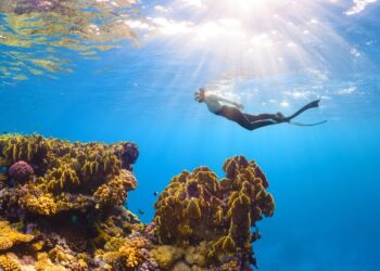 Navigating Saudi Visa Document Requirements