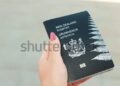 Deciphering the New Zealand Visa Process for Citizens of the Netherlands