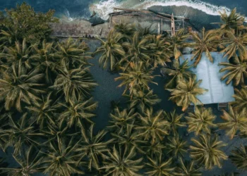 A Comprehensive Guide to Obtaining an Indian Visa for Papua New Guinean Citizens