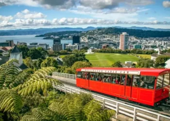 What Should Tourists Know About Getting a New Zealand Visa?