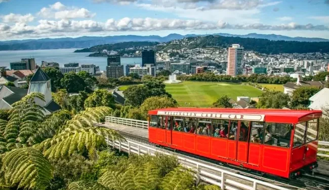 What Should Tourists Know About Getting a New Zealand Visa?