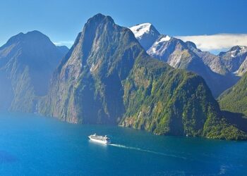 How Can You Complete the NZETA Application Form?