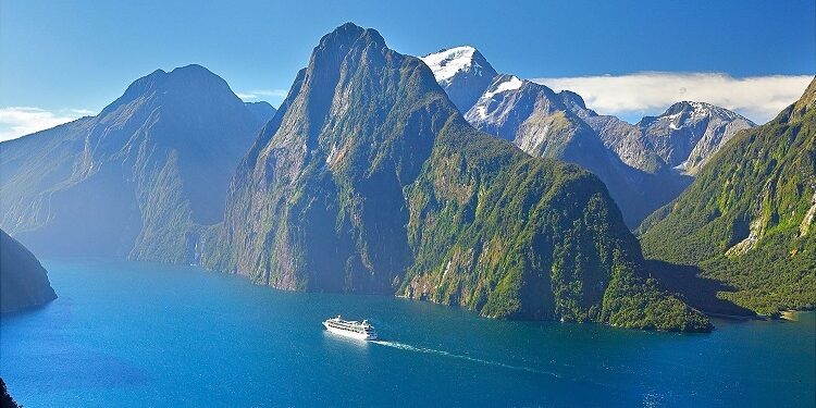 How Can You Complete the NZETA Application Form?