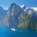 How Can You Complete the NZETA Application Form?