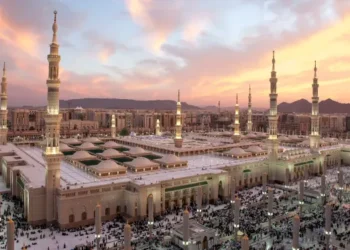 Understanding the Saudi Visa Process for Canadian Citizens