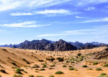 Saudi E-Visa Options: What’s Available for New Zealanders and Malaysians?