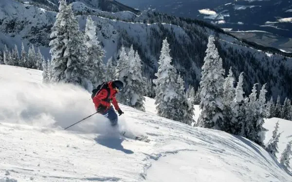 How Can Austrians Obtain a Canada Visa?