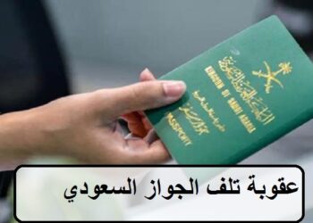 Saudi Visa