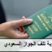 Saudi Visa