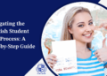 Demystifying the Turkey Visa Process for Maldivian Citizens A Step-by-Step Guide