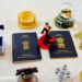 A Comprehensive Guide to Obtaining an Indian Visa for Aruban Citizens
