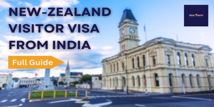 A Comprehensive Guide to New Zealand Visitor Visa Information