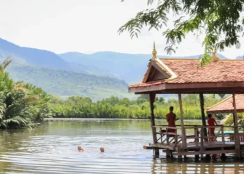 Guide to Tourist Activities and Visa Enquiries in Cambodia