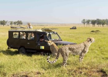 Indian Adventure Guide for Citizens of Kenya