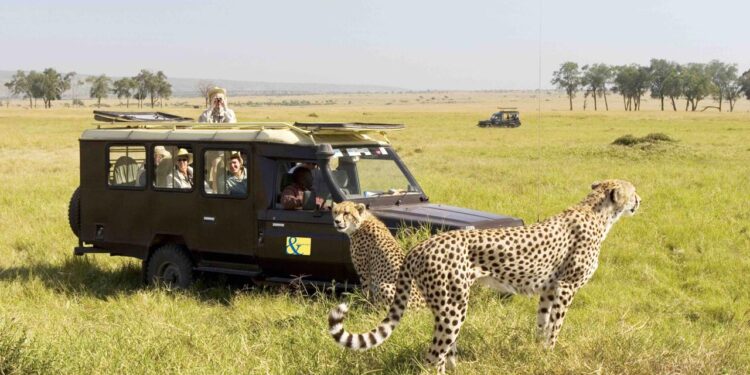 Indian Adventure Guide for Citizens of Kenya