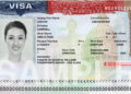 Navigating the Indian Visa Process for United States Citizens Everything You