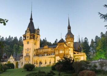 Navigating the Indian Visa Process for Romanian Citizens