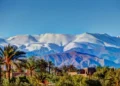 Navigating the Visa Process for Moroccan